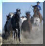 Insurance Plus of Texas